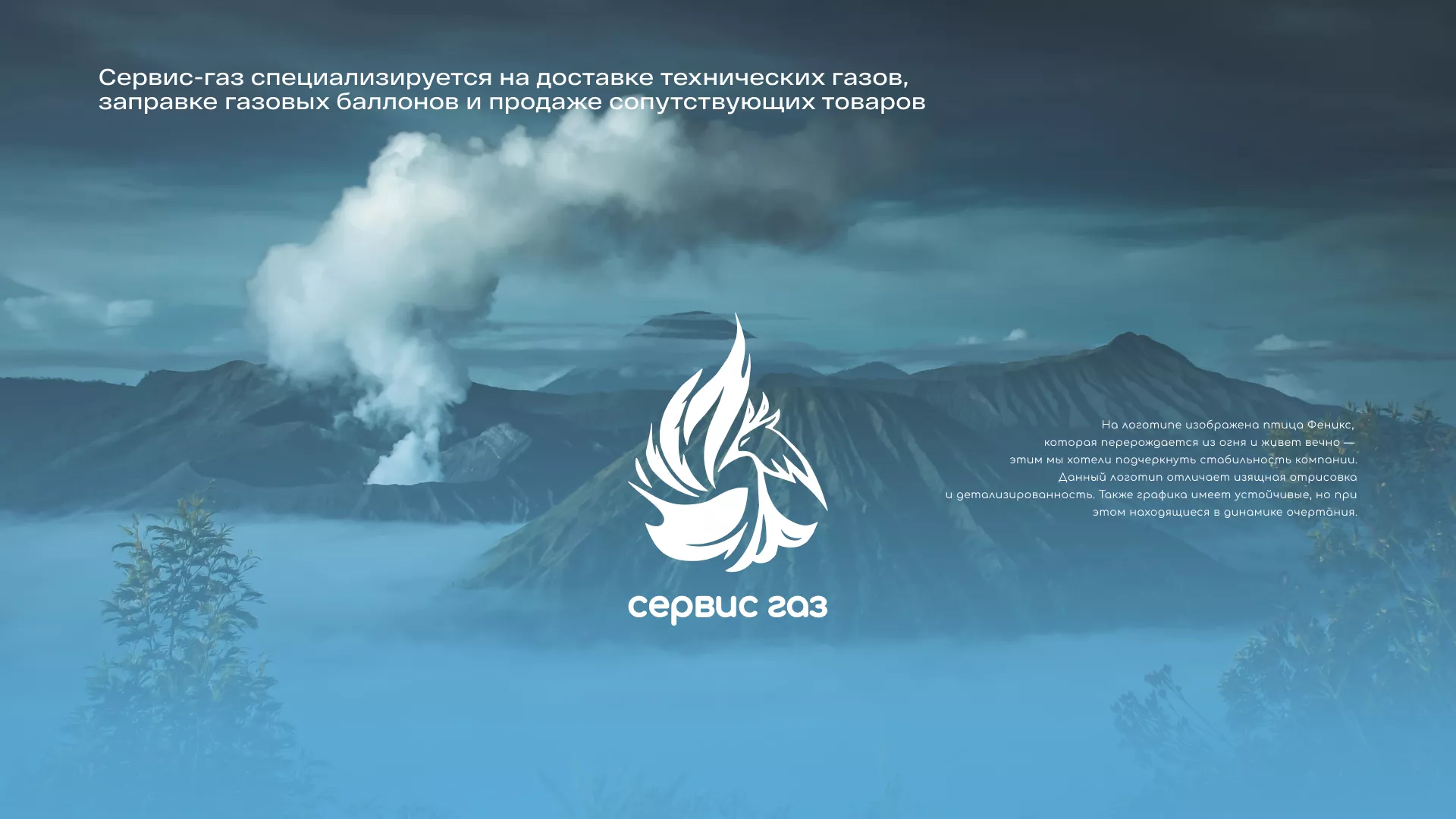 Создание сайта компании «Сервис газ» в Заречном
