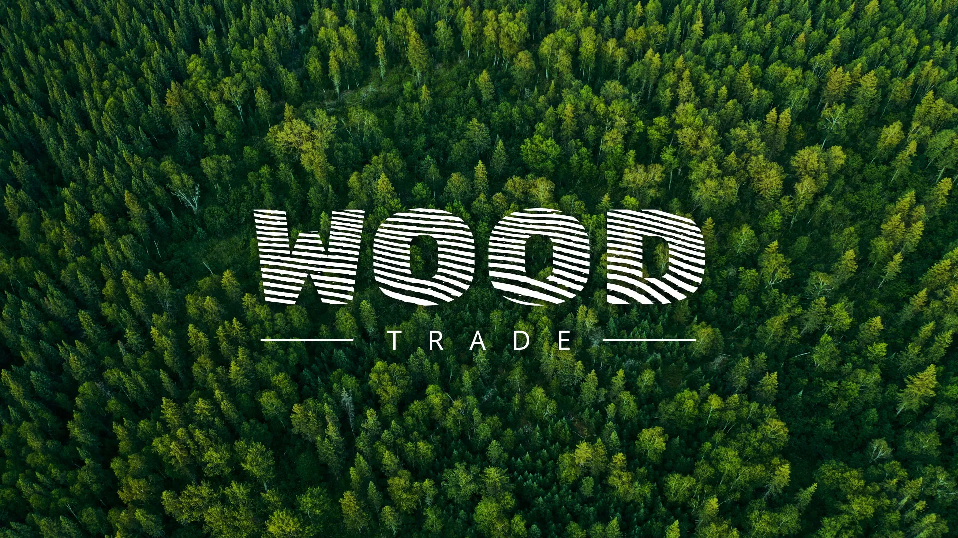 Разработка интернет-магазина компании «Wood Trade» в Заречном