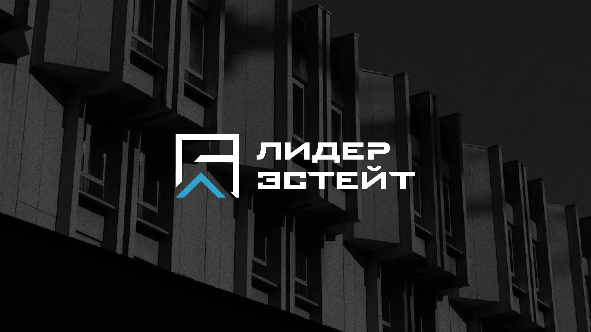 Разработка логотипа агентства недвижимости «Лидер Эстейт» в Заречном